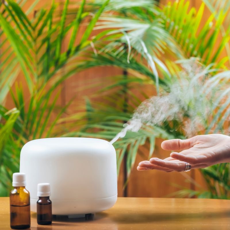Aromatherapy for Appetite Control_Difusser