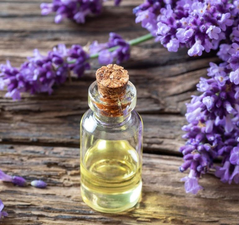 Aromatherapy for Appetite Control_lavender