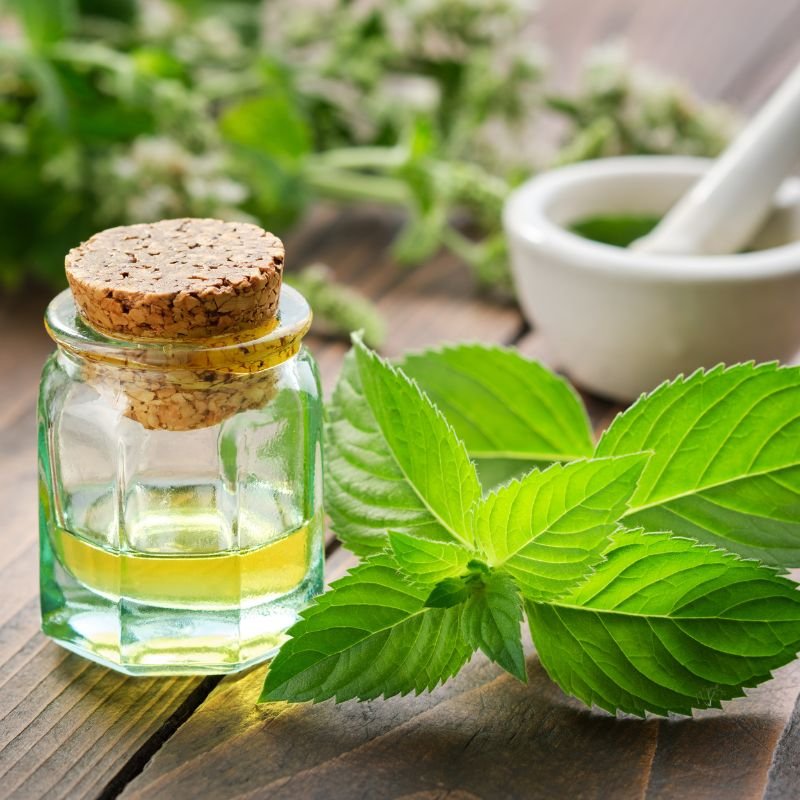 Aroma Therapy For Appetite Control