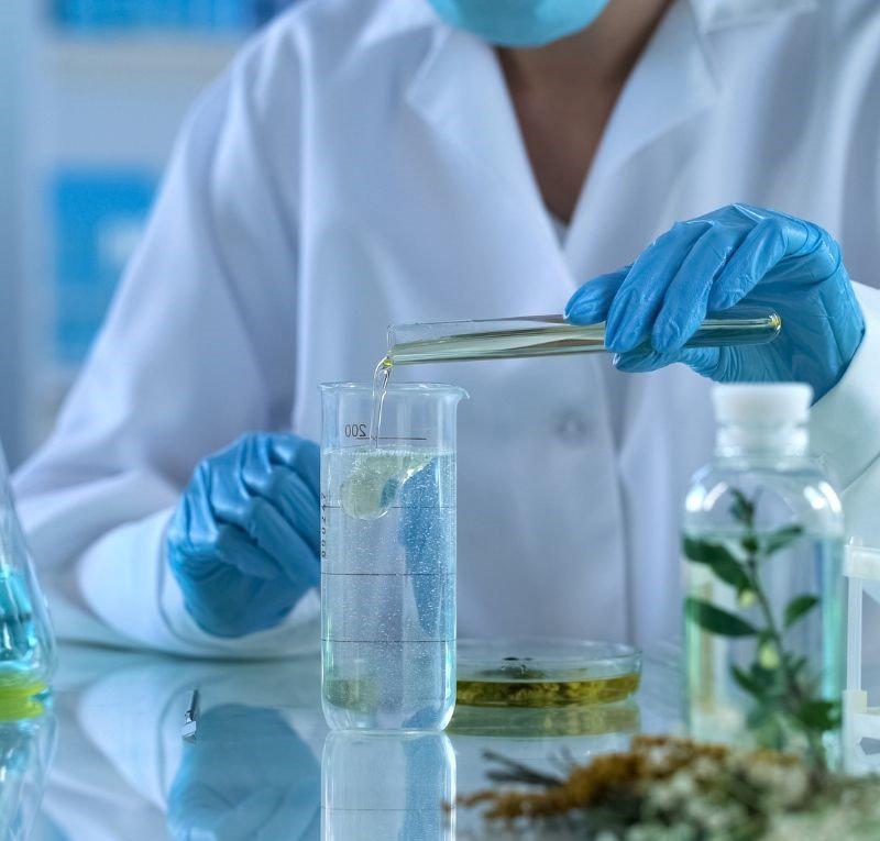 Science behind plant-based phytonutrients for weight loss