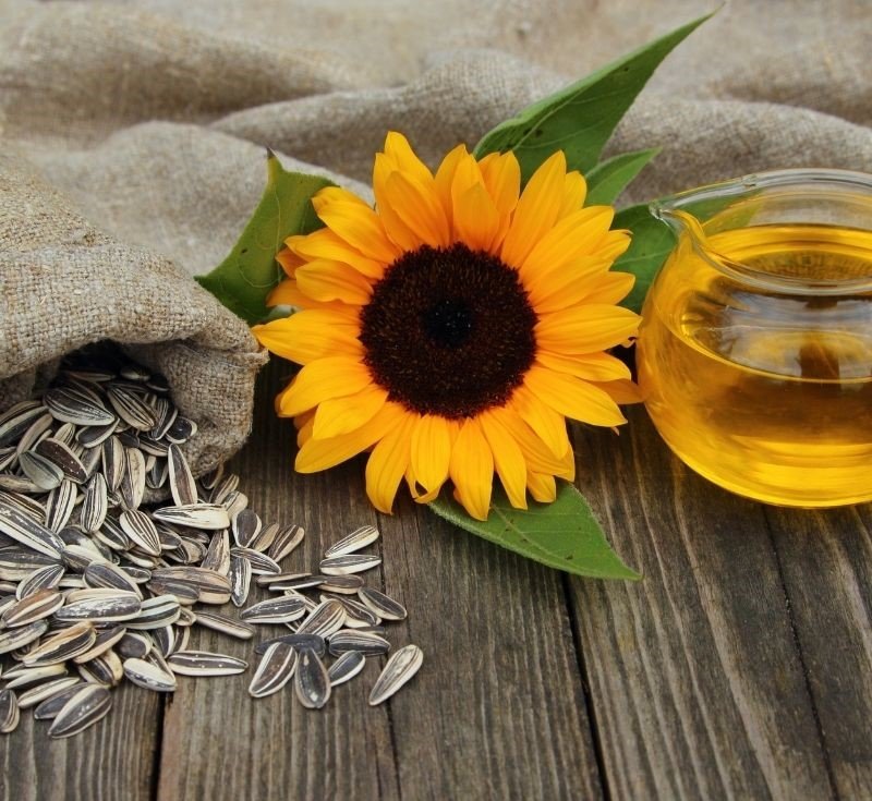 Sunflower Seeds